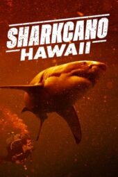 Nonton Film Sharkcano: Hawaii (2023) Terbaru Nonton Film Sharkcano: Hawaii (2023) Terbaru